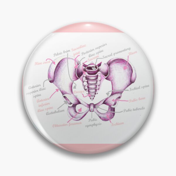 Item preview, Anatomy Of Pelvis designed and sold by MidwiferyGifts.