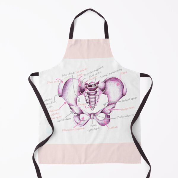 Item preview, Anatomy Of Pelvis designed and sold by MidwiferyGifts.