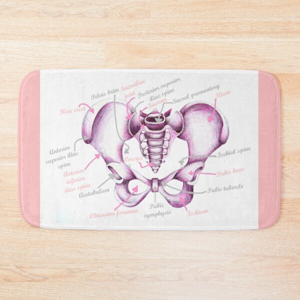 Item preview, Anatomy Of Pelvis designed and sold by MidwiferyGifts.