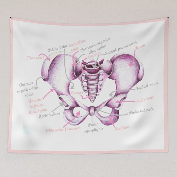 Item preview, Anatomy Of Pelvis designed and sold by MidwiferyGifts.