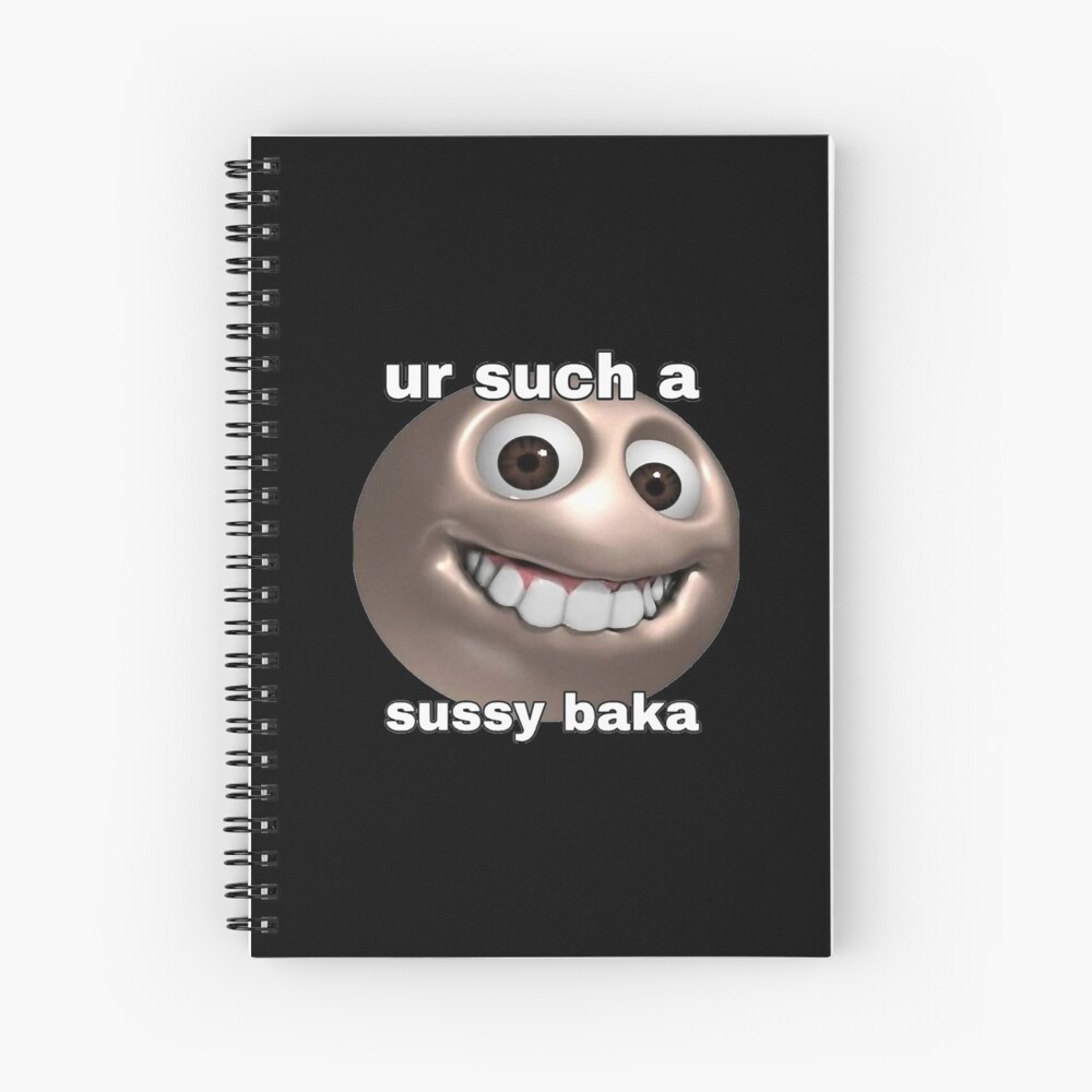 WHY ARE YOU SUCH A SUSSY BAKA ? : r/amogus