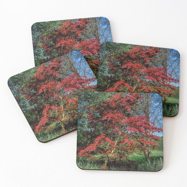 Item preview, Contrast designed and sold by Steve Walser.