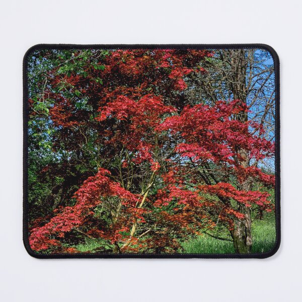 Item preview, Contrast designed and sold by Steve Walser.