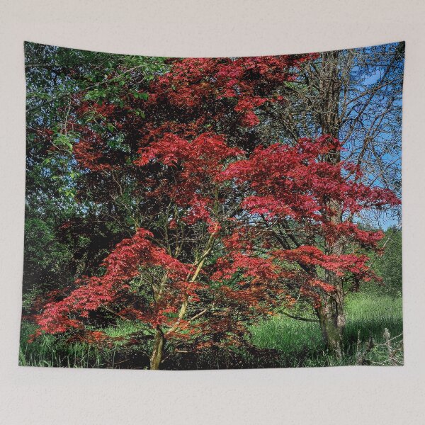 Item preview, Contrast designed and sold by Steve Walser.