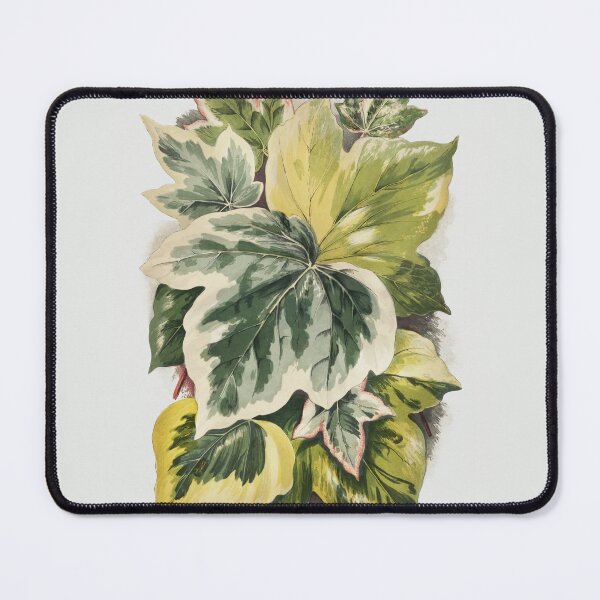 Item preview, Various Ivy Leaves from The Ivy, a Monograph (1872) designed and sold by cerenalkan.