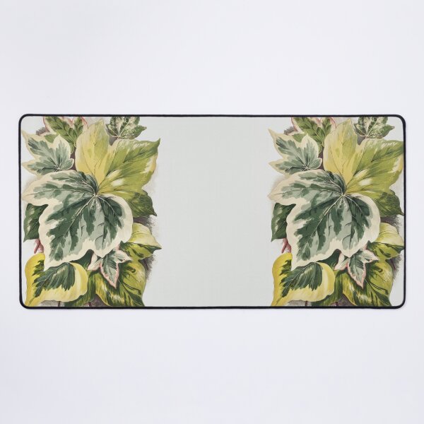 Item preview, Various Ivy Leaves from The Ivy, a Monograph (1872) designed and sold by cerenalkan.