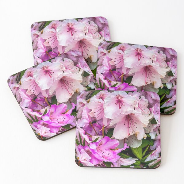 Item preview, Bonus Bunch designed and sold by Steve Walser.