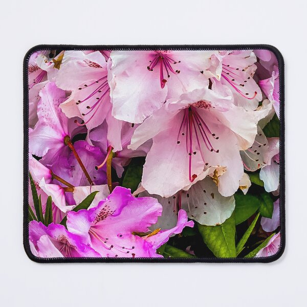 Item preview, Bonus Bunch designed and sold by Steve Walser.