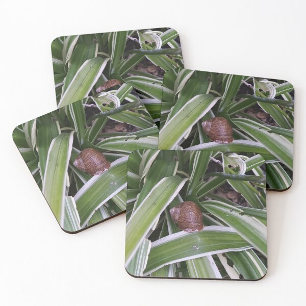 Item preview, Snail on a Spider Plant designed and sold by liliaparacosm.
