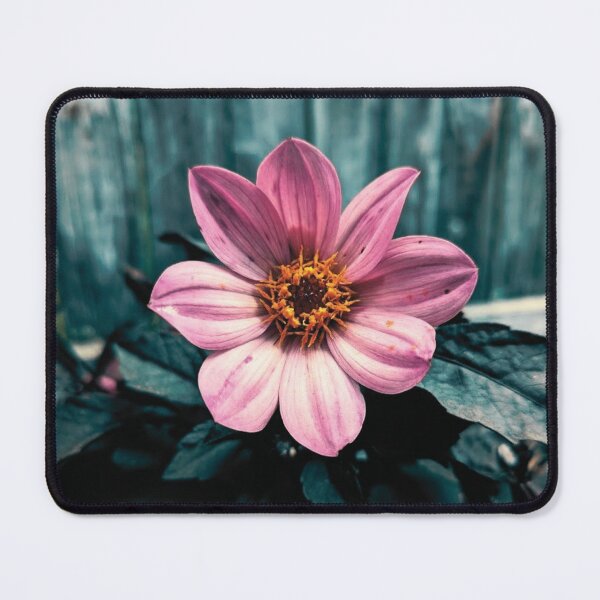 Item preview, Ornamental Dahlia designed and sold by 9Amaryllis6.