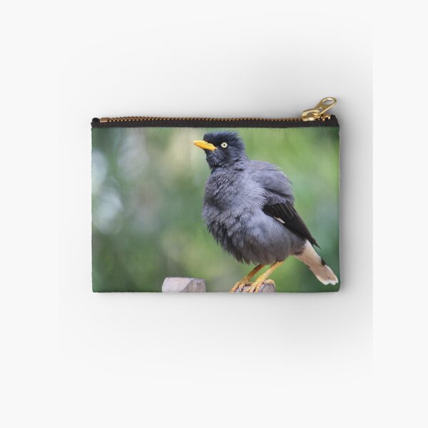 Item preview, Javanese Mynah designed and sold by Zeanana.