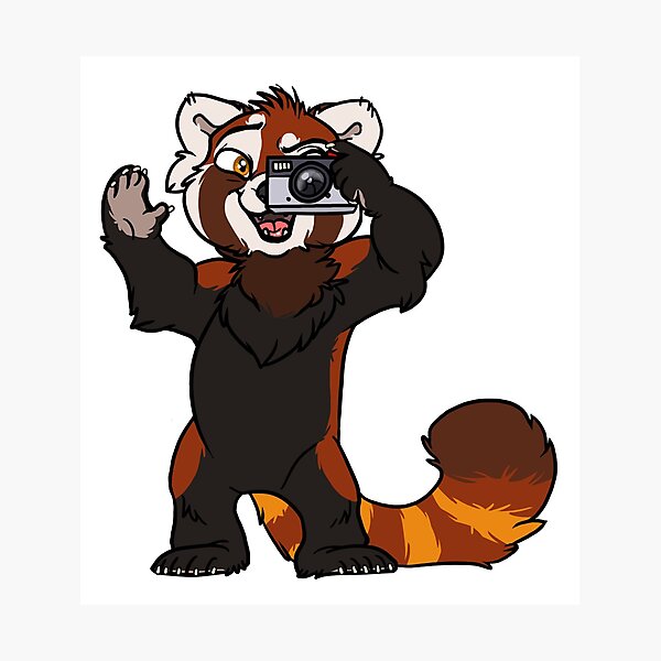 Red Panda Photographer Photographic Print
