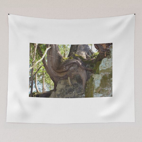 Item preview, Twisty Tree With Foot Protruding Beneath designed and sold by farmbrough.