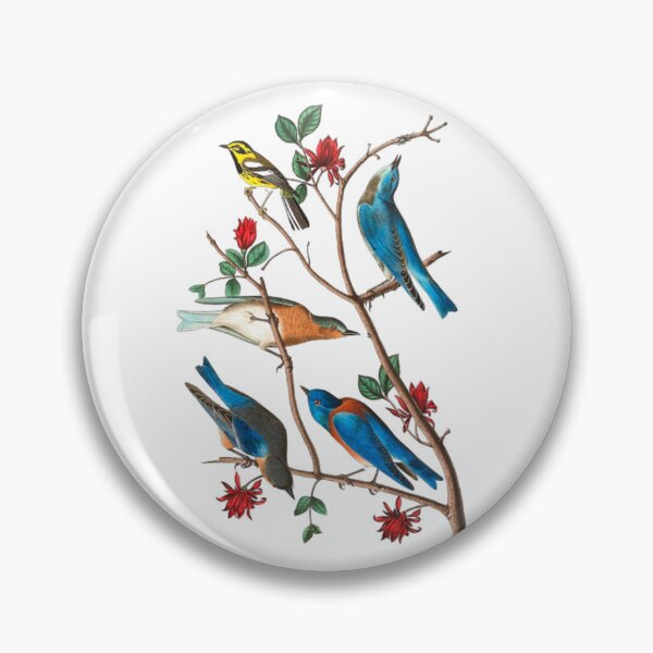 Item preview, John James Audubon Townsends warbler designed and sold by Olivia-One.
