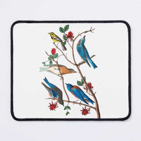 Item preview, John James Audubon Townsends warbler designed and sold by Olivia-One.