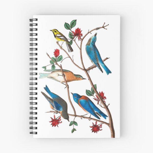 Item preview, John James Audubon Townsends warbler designed and sold by Olivia-One.
