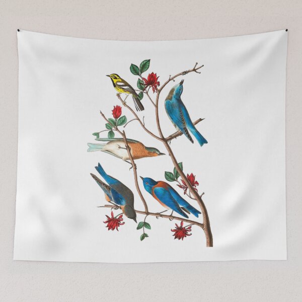 Item preview, John James Audubon Townsends warbler designed and sold by Olivia-One.