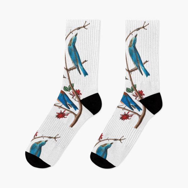 Item preview, John James Audubon Townsends warbler designed and sold by Olivia-One.