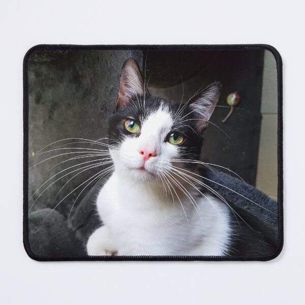 Item preview, Whiskers  designed and sold by liliaparacosm.