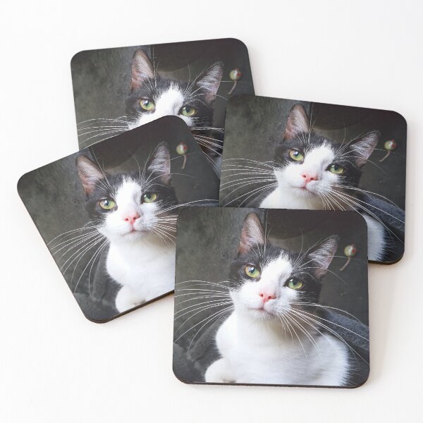 Item preview, Whiskers  designed and sold by liliaparacosm.