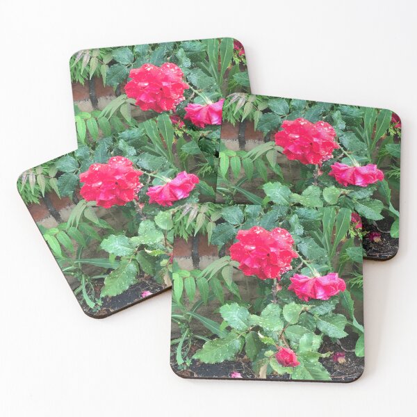 Item preview, Concrete Bloom designed and sold by NellVerde.