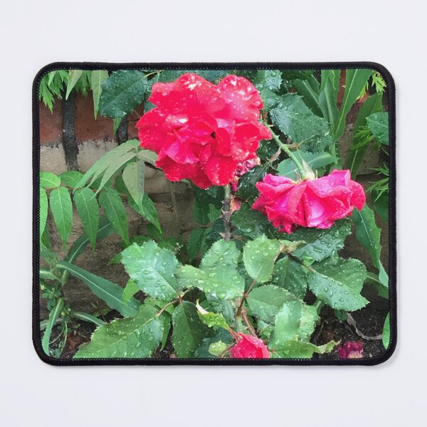 Item preview, Concrete Bloom designed and sold by NellVerde.