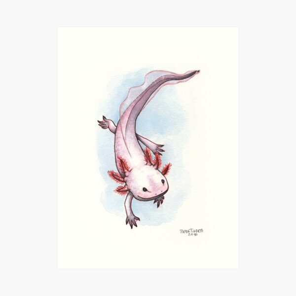 AXOLOTL Art Print