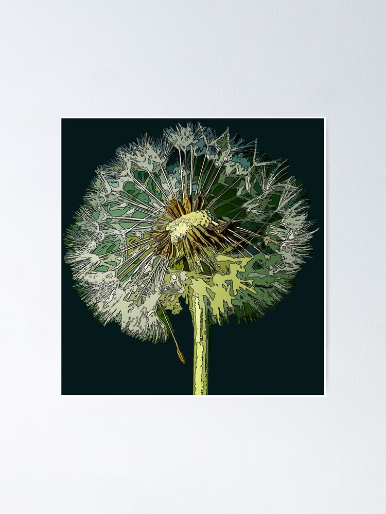 How to Draw a Dandelion & Create a Dandelion Painting - Arty