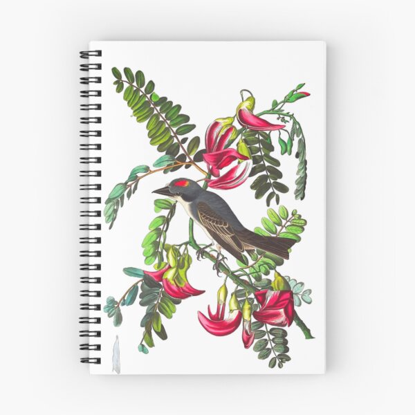 Item preview, John James Audubon Piping Flycatcher  designed and sold by Olivia-One.