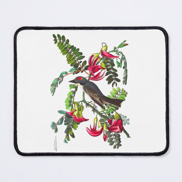 Item preview, John James Audubon Piping Flycatcher  designed and sold by Olivia-One.