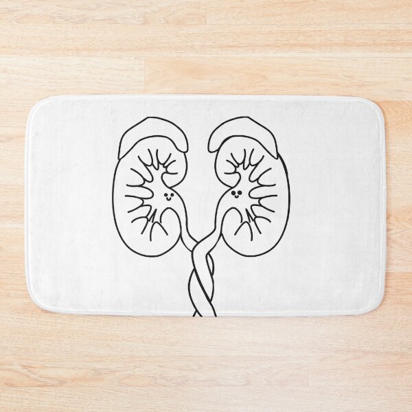 Item preview, Hugs of Cute kawaii Kidneys and adrenal gland’s sketch. Anatomy illustration  designed and sold by Drevych-shop.