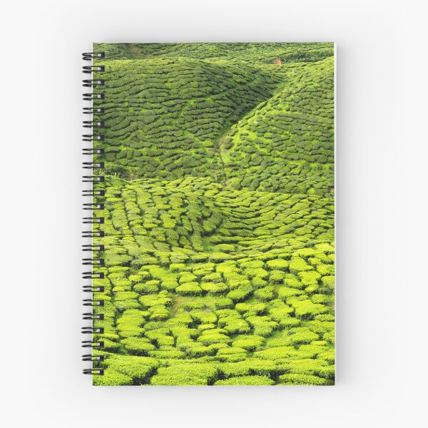 Item preview, Cameron Highlands Pahang State Malaysia designed and sold by Kevin Miller Photography.