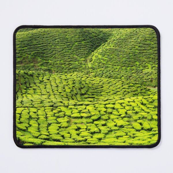 Item preview, Cameron Highlands Pahang State Malaysia designed and sold by Kevin Miller Photography.