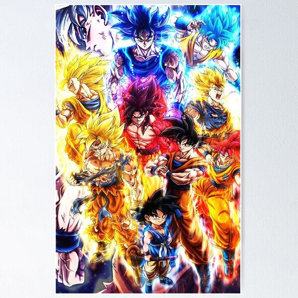 Dragon Ball Super Poster Goku and Vegeta SSJ/Blue/God 12inx18in