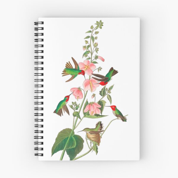 Item preview,  John James Audubon Columbian Humming designed and sold by Olivia-One.