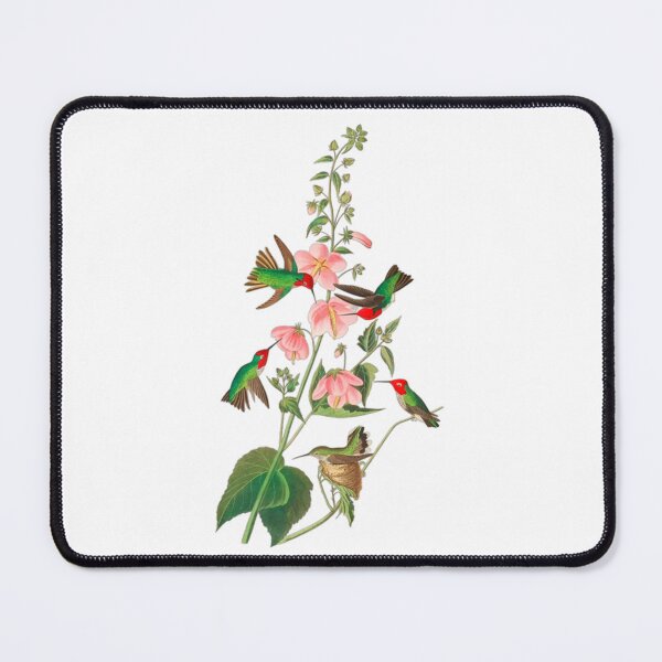 Item preview,  John James Audubon Columbian Humming designed and sold by Olivia-One.