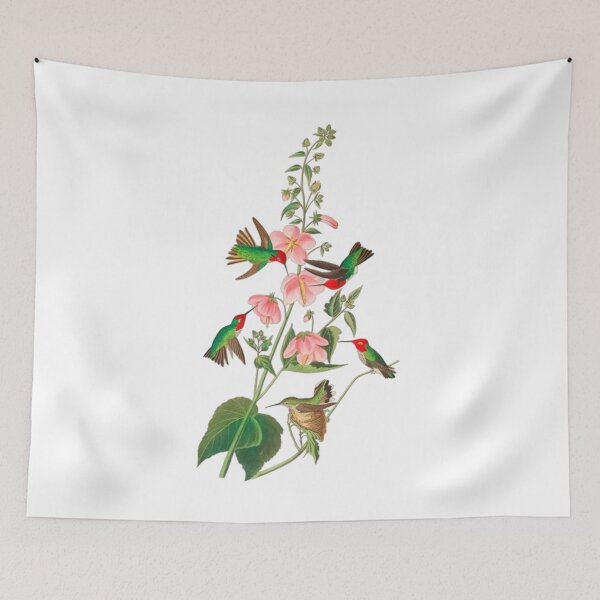Item preview,  John James Audubon Columbian Humming designed and sold by Olivia-One.