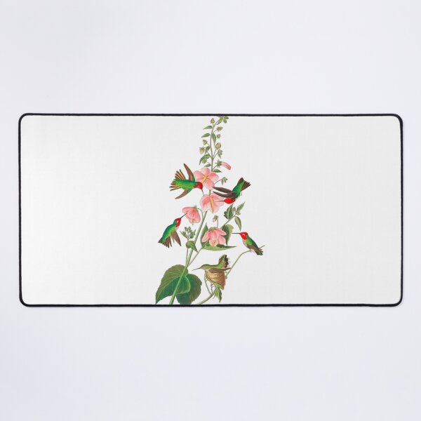 Item preview,  John James Audubon Columbian Humming designed and sold by Olivia-One.