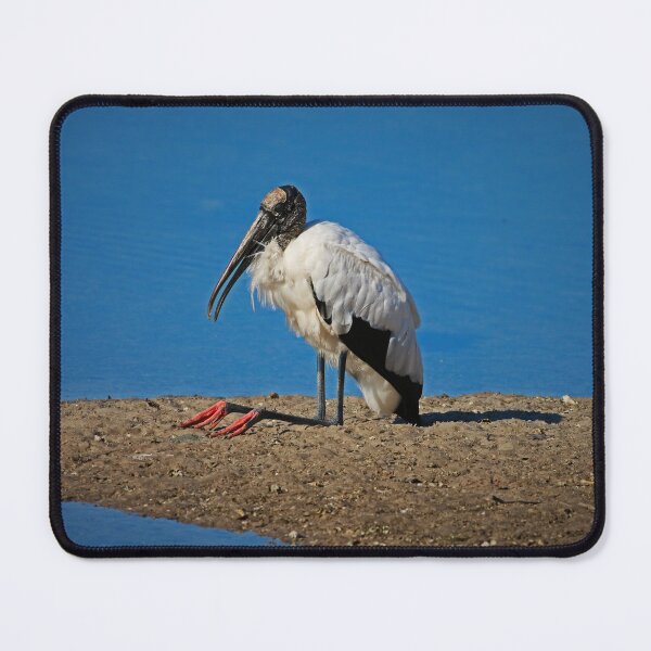 Item preview, An Astute Mood II designed and sold by Michiale.