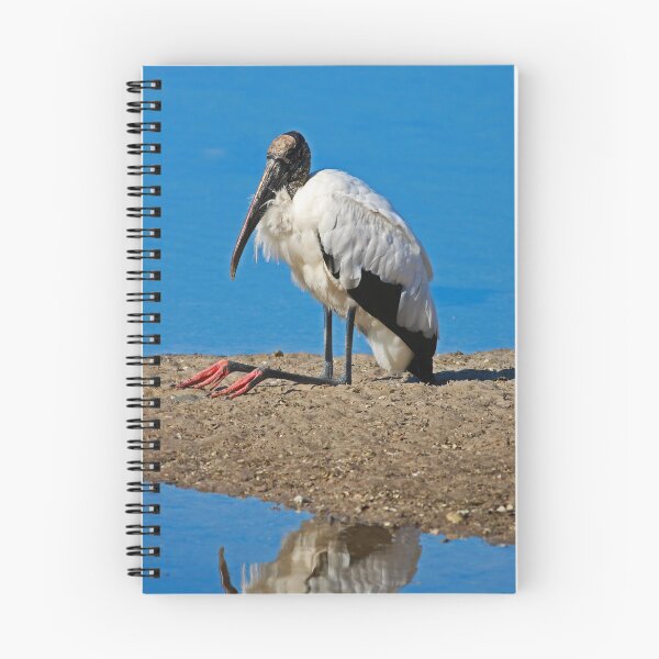 Item preview, An Astute Mood I designed and sold by Michiale.
