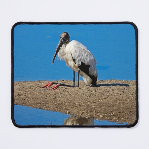 Item preview, An Astute Mood I designed and sold by Michiale.