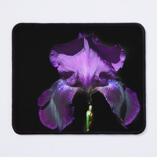 Item preview, Purple iris on black background designed and sold by olena2552.