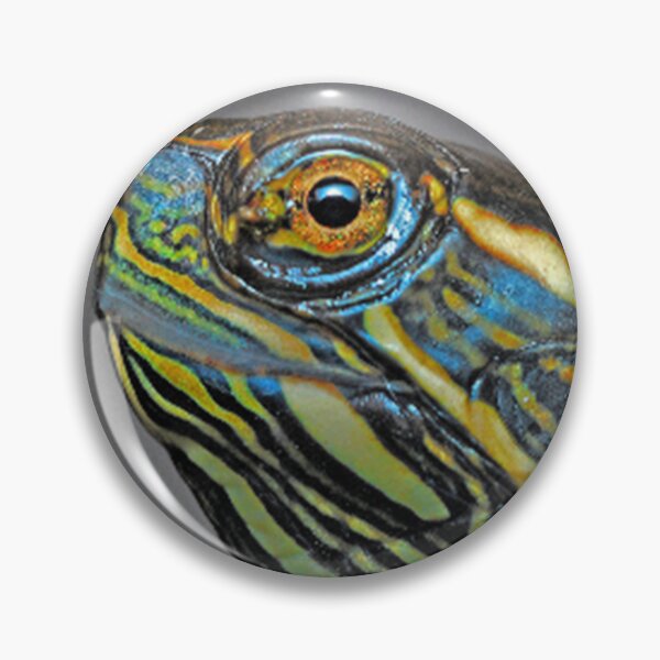 Item preview, Colorful turtle poses designed and sold by Gym Designs.