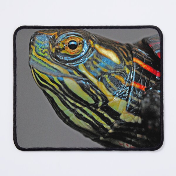 Item preview, Colorful turtle poses designed and sold by Gym Designs.