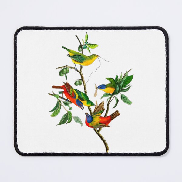 Item preview,  John James Audubon Painted Finch designed and sold by Olivia-One.