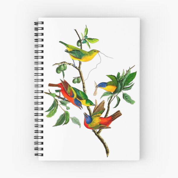 Item preview,  John James Audubon Painted Finch designed and sold by Olivia-One.