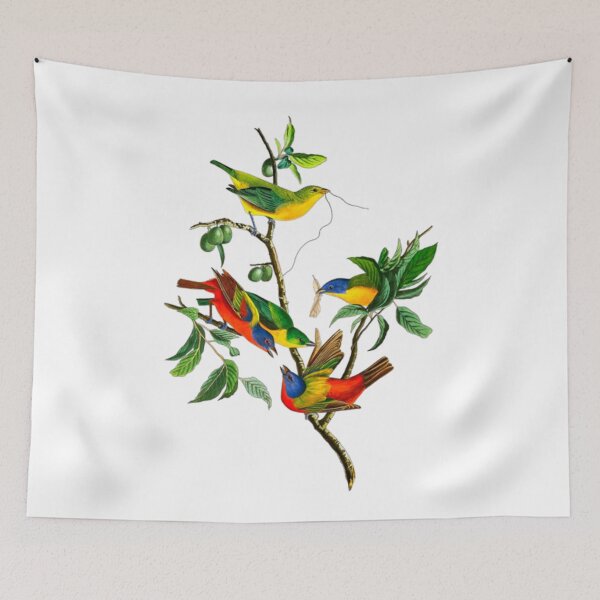 Item preview,  John James Audubon Painted Finch designed and sold by Olivia-One.