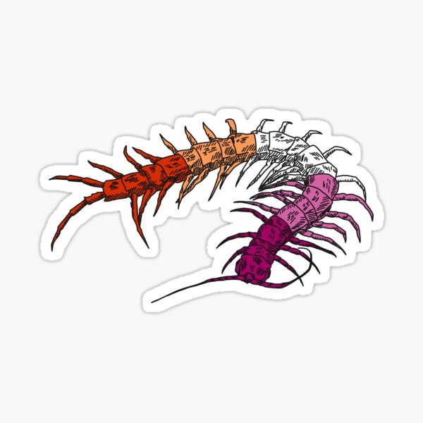 Lesbian Centipede Sticker For Sale By Whiskerless Redbubble