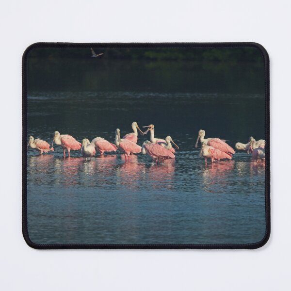 Item preview, Engaging Conversations  designed and sold by Michiale.