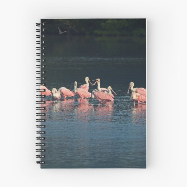 Item preview, Engaging Conversations  designed and sold by Michiale.